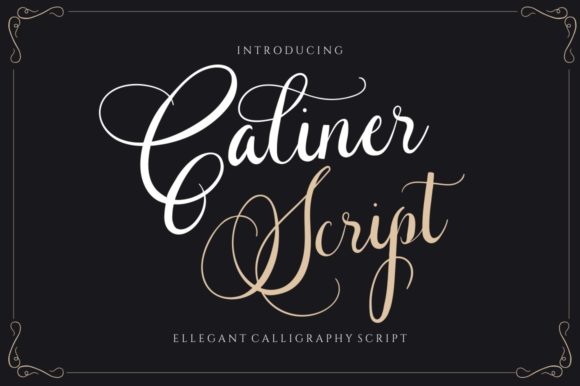 Caliner Script: A Delicate Typeface for Modern Web Design