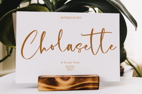 Cholasette Script: A Typeface for Elegant Editorial Design