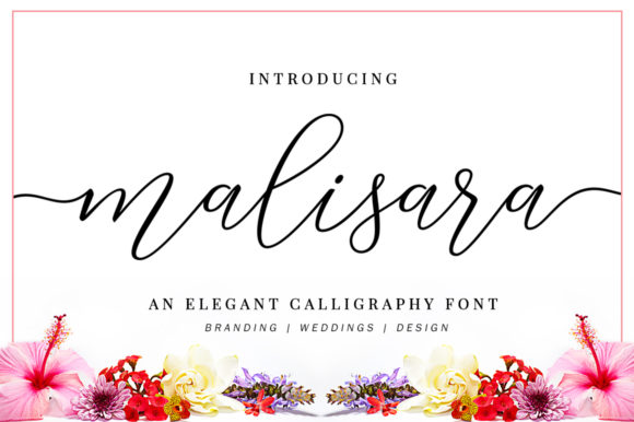 Malisara Script: A Handwritten Font for Editorial Design