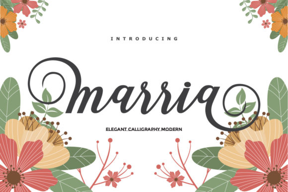 Marria Script: A Versatile Typeface for Web Design
