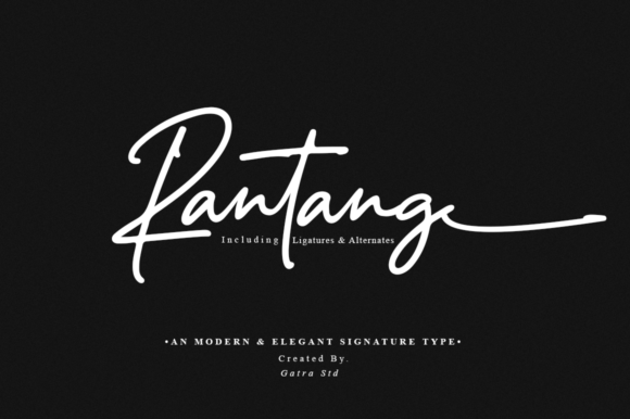 Rantang: A Delicate Script Font for Modern Web Design